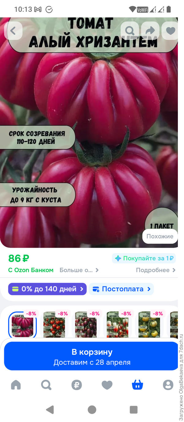 Тут поразила не форма (такая бывает), и даже не цвет! А название! Алый хризантем, ОН!