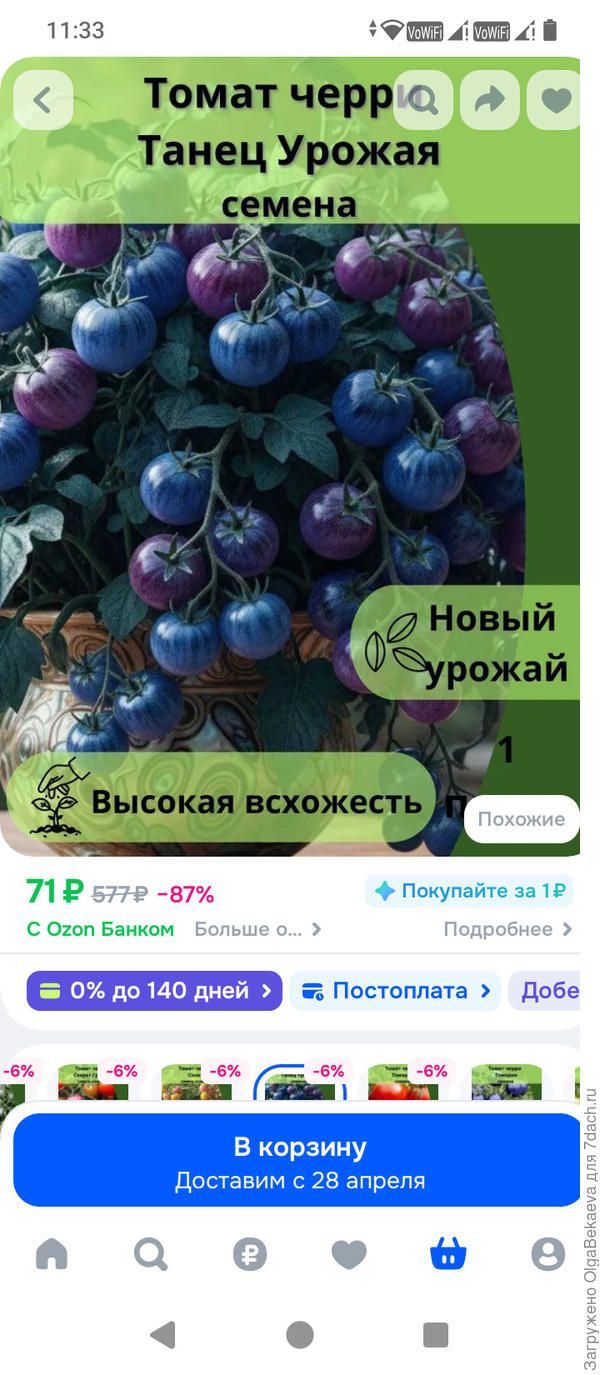 "Синие черри" суперкарлик