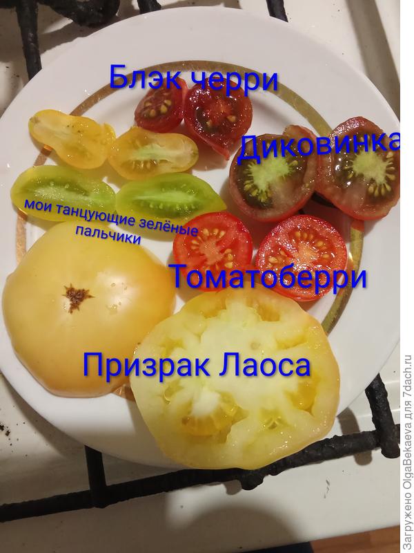В разрезе