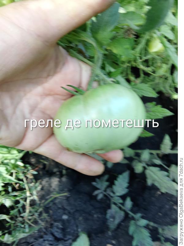 Греле де Пометешть