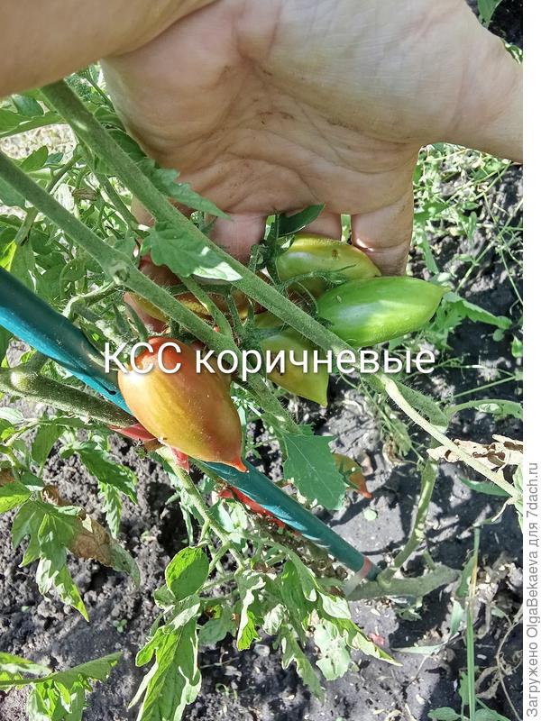 Конфета сладкая сосулька коричневая