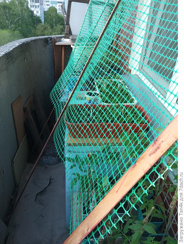 Грач не пройдёт)