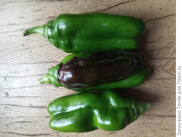 Сладкий шоколад. Тоже из своих семян