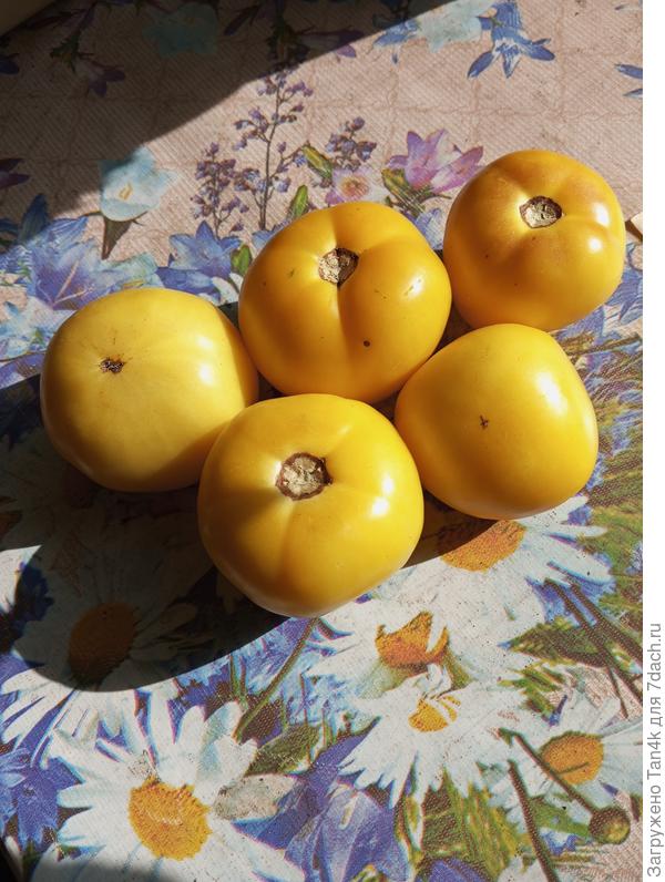 Неизвестный