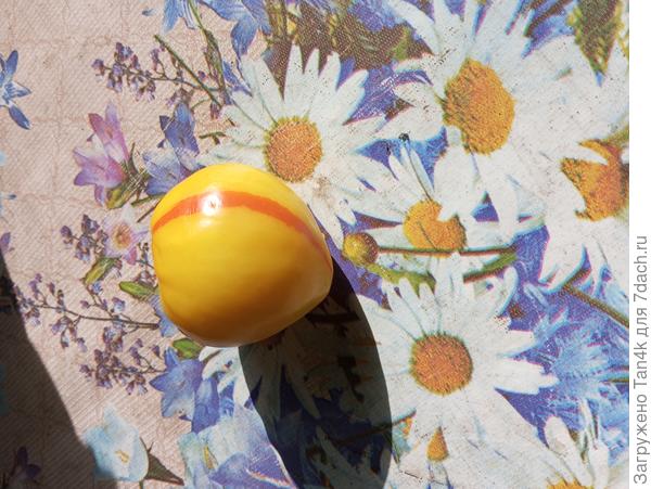 Просто оригинальная расцветка