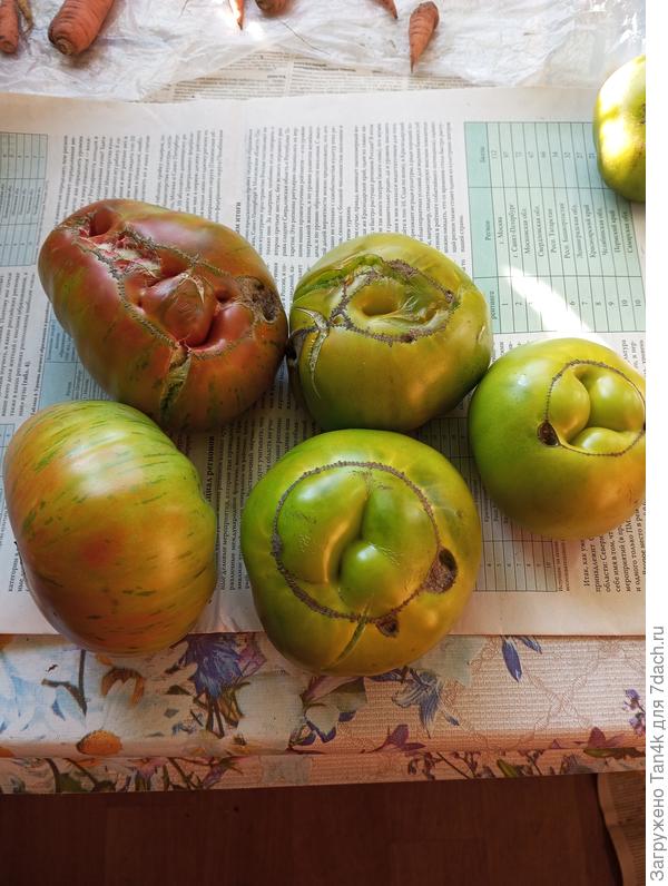 Слева 2 штуки