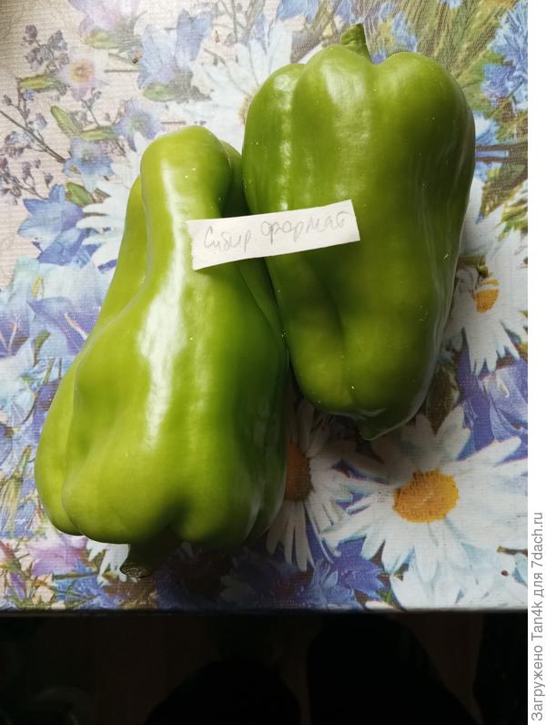 Сибирский формат