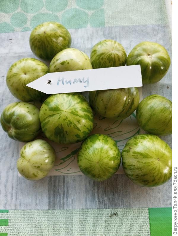 Ниму, 1/3 урожая примерно