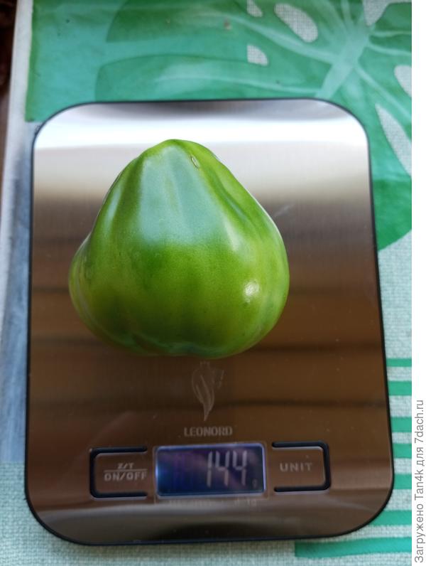 Иван купала