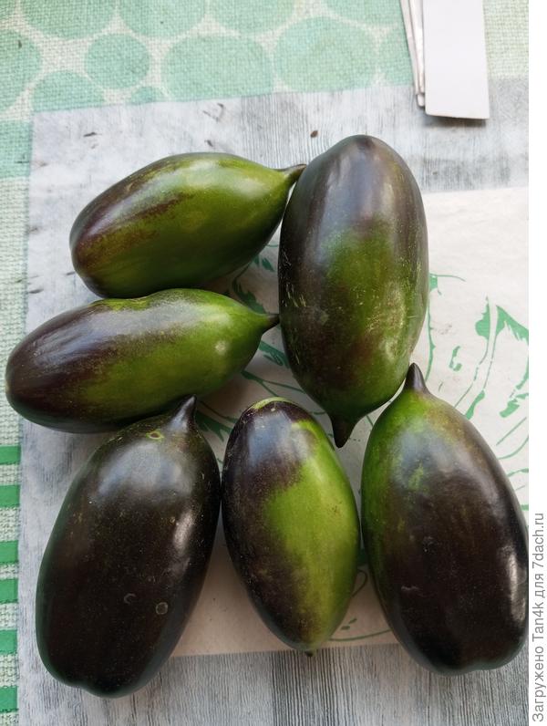 Бой с тенью