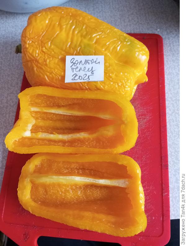 Золотой телец