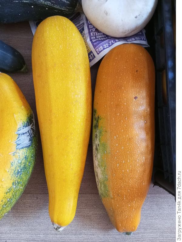 Золотой ключик