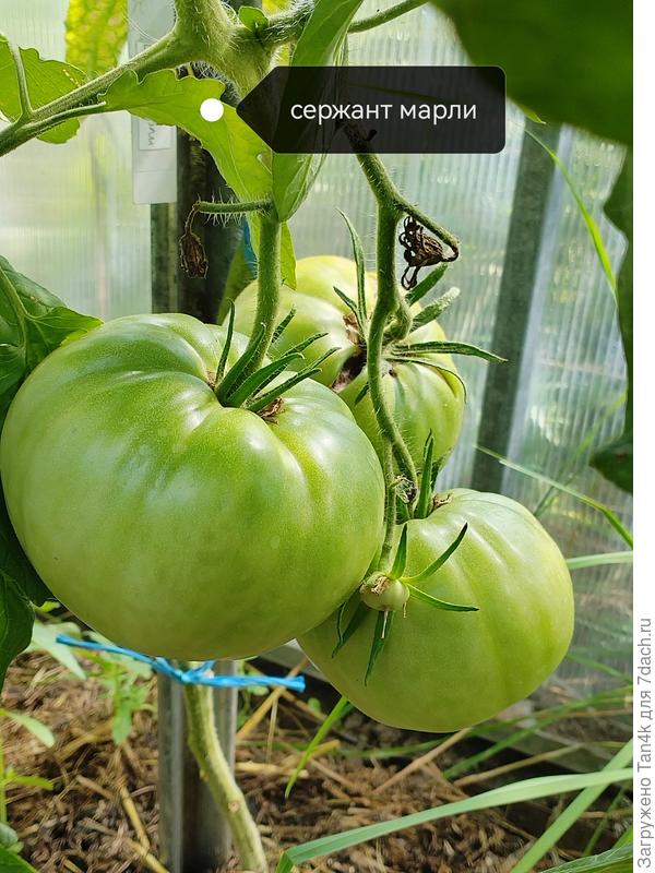 Этот прям Вау. Посмотрим как на вкус будет.