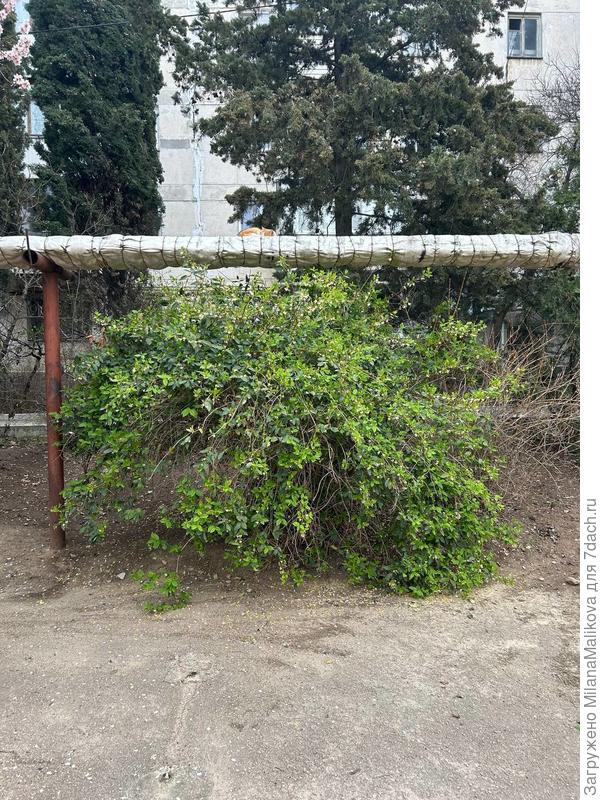 Вид издалека