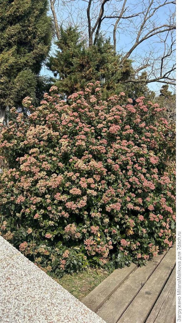 Вид издалека