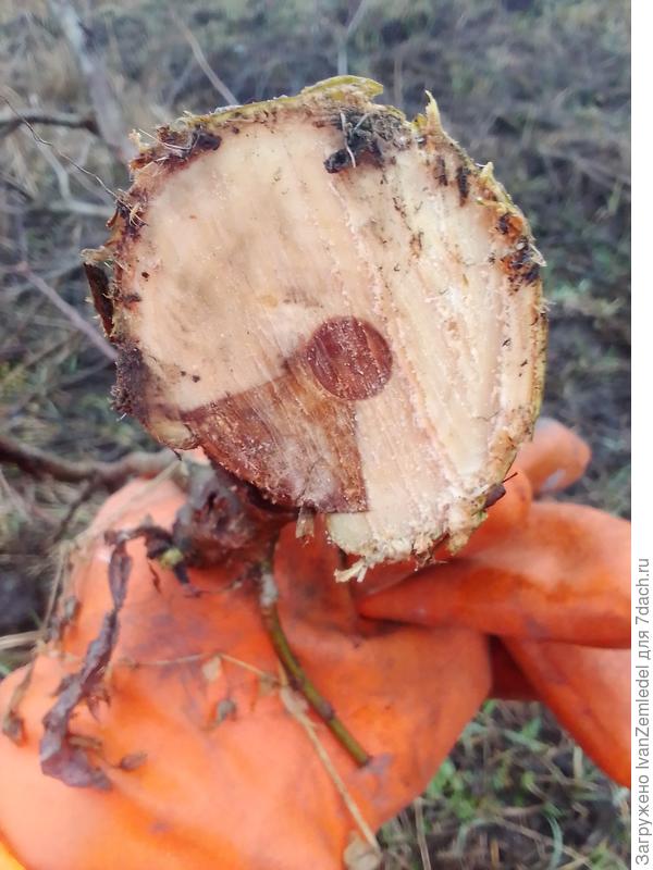 Вот например.