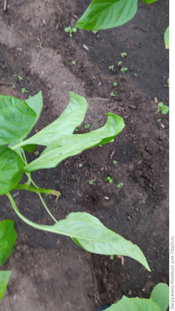 перекрутило