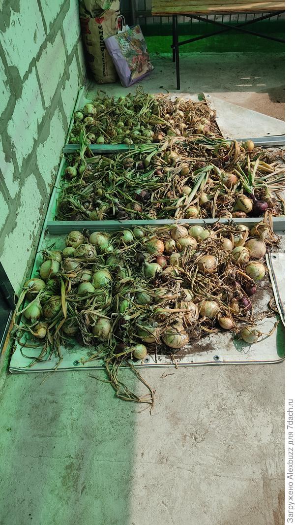 это только половина, лень раскладывать красиво