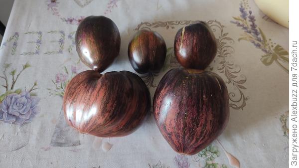 Мятежный звёздный истребитель