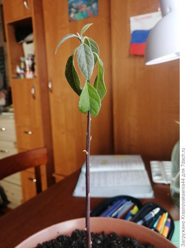 Мне кажется или стало хуже? (