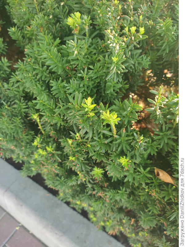 фото поближе