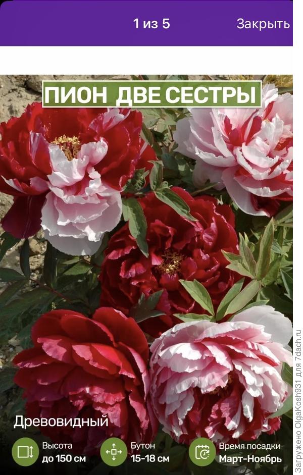 И вот этот удивил