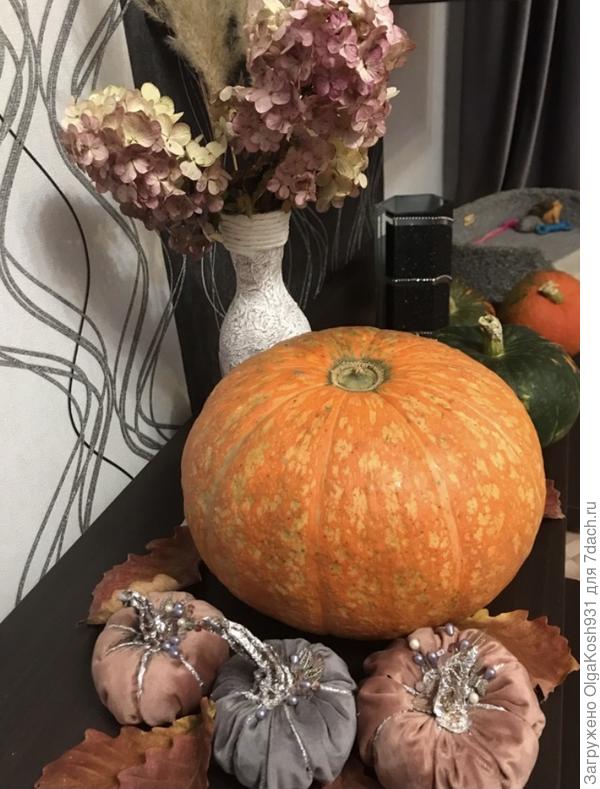 Малюсенькая часть урожая ).. как я его распихивала по родственникам, друзьям и знакомым.. 😄