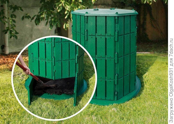 Своего фото нет, из сети.