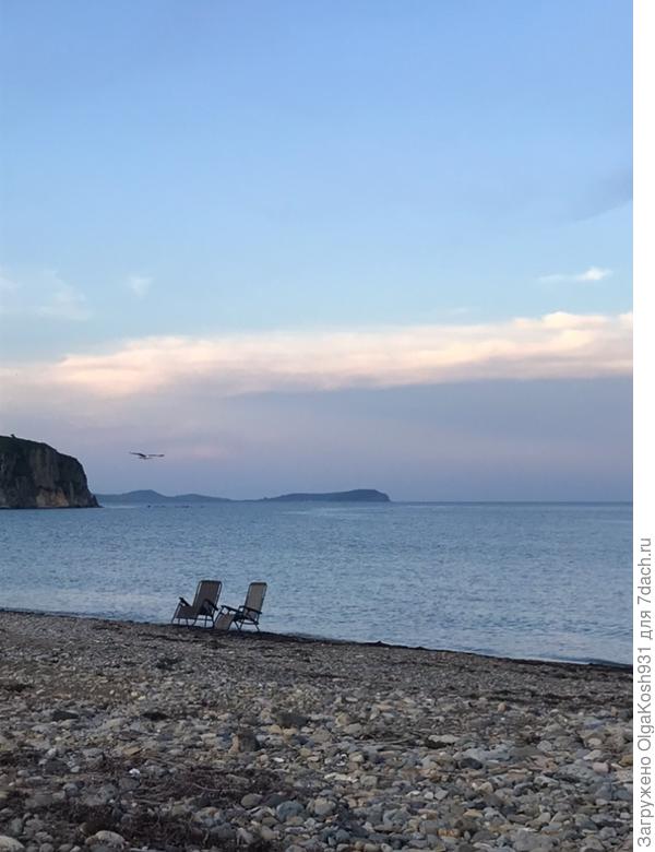 Летний вечер