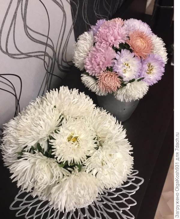 А это прошлогодние хризантеллы