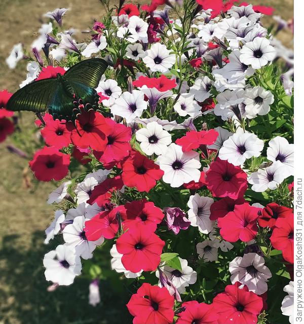 С праздником!)