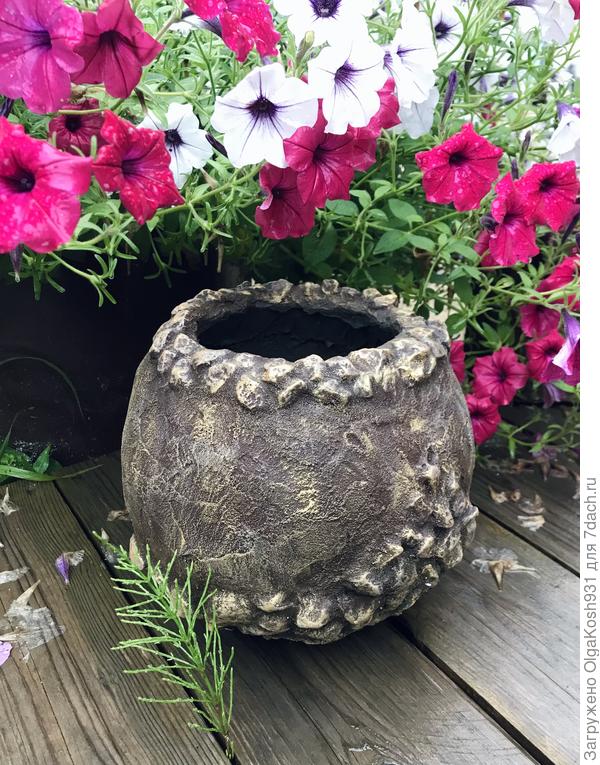 Мой первый вазончик)