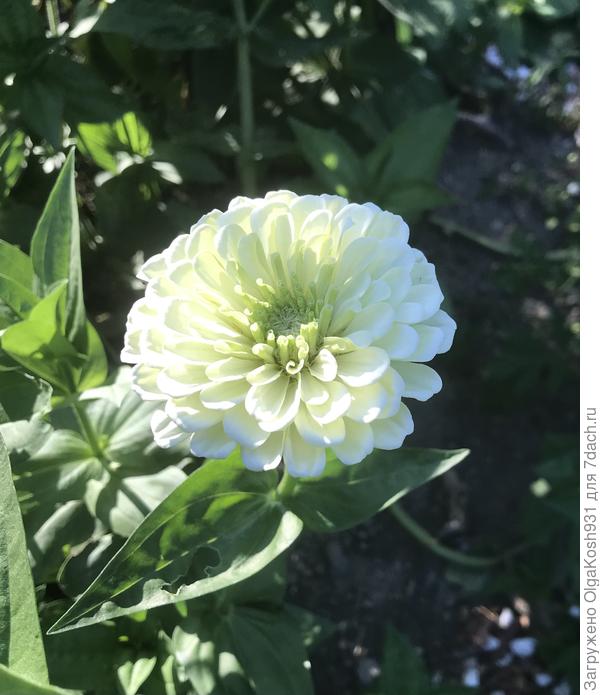 .. и суровая реальность 😄