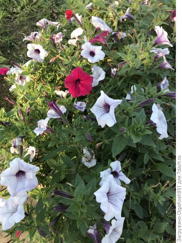 Уже не так обильно, как летом, но всё же)