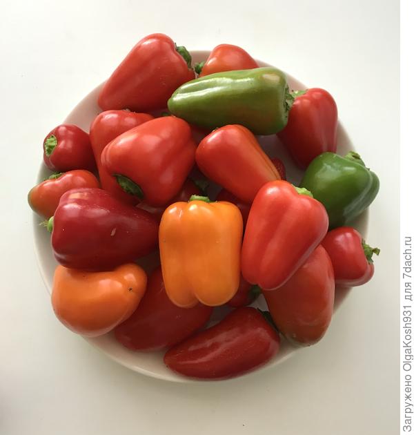 Сладкие и урожайные Фьюджи