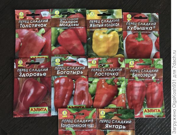 Пасьянс на новый сезон)