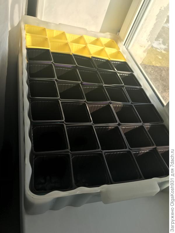 Вмещает 40 стаканов 0,5 л