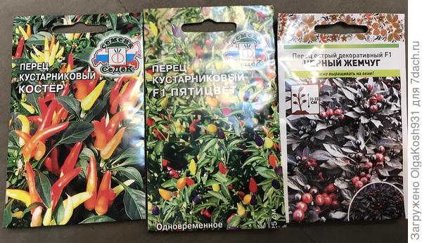 Перчики посеяны , каждого по три шт.