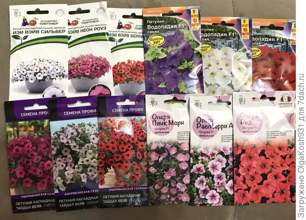 Вот мои, тоже все быстрорастущие