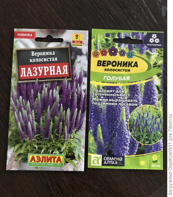 Все эти цветы буду выращивать впервые)