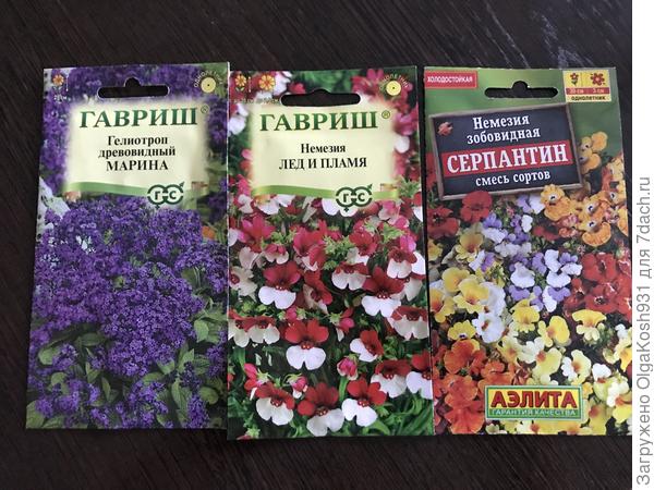 Сегодняшний запланированный посев