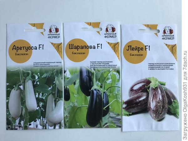 Аретуссу выращивала в прошлом сезоне. Хороший , урожайный, плодоносил до начала октября. Плоды небольшие, одинаковые, вкус обычный баклажанный). Шарапову и Лейре буду выращивать впервые. Ещё есть прошлогодние семена Король Севера и Алмаз, их тоже посею .