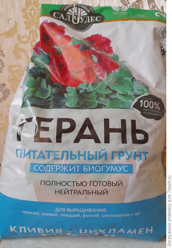 Грунт, в который посажены мои герани.