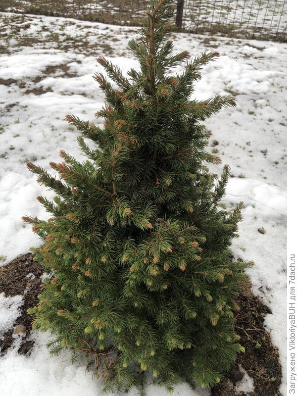 С другого ракурса