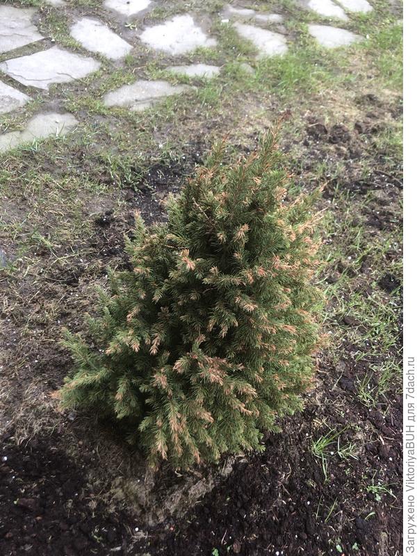 Что делать? Что ей не нравится?