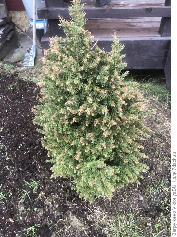 Что делать? Что ей не нравится?