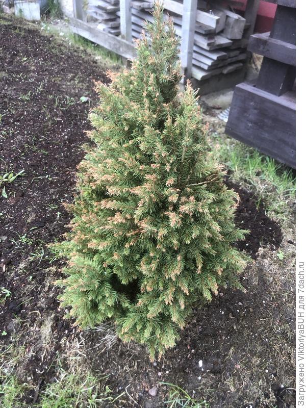 Что делать? Что ей не нравится?