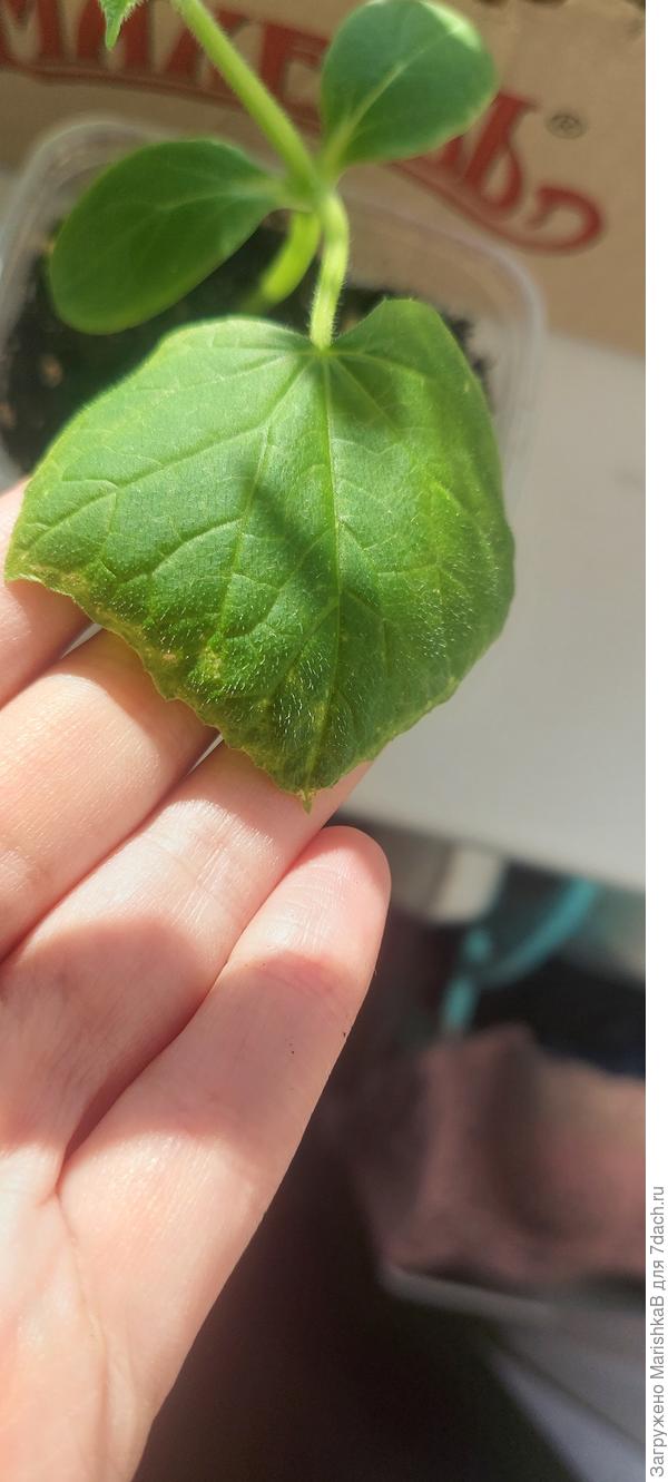 Скрученные края