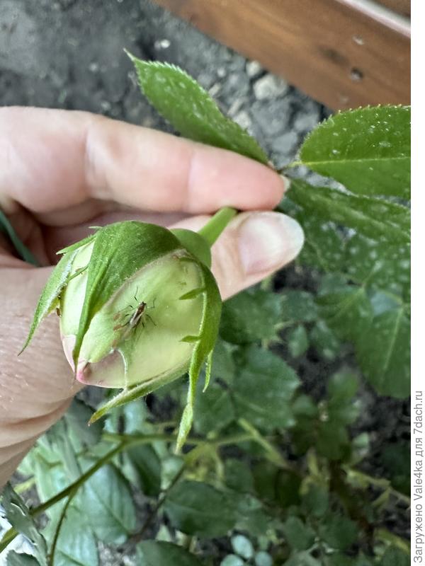 Как от этого избавиться?