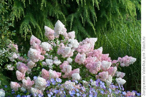 Красотища не могу 😍😭😭